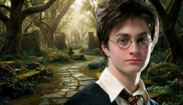 Harry Potter TV Reboot vs. Movie Legends: How Every Recast Stacks Up So Far