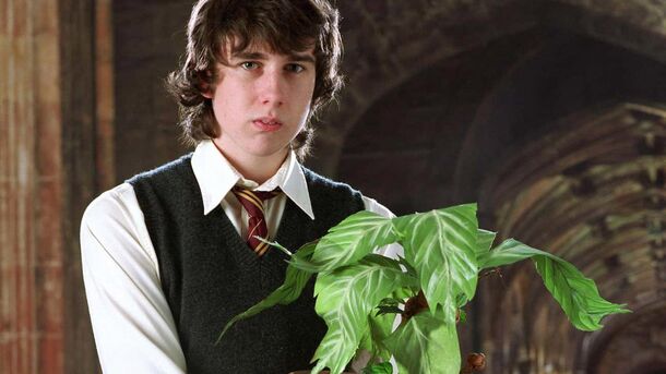 5 Unconventional Harry Potter Takes That Will Challenge Everything You Know About Wizarding World - image 2