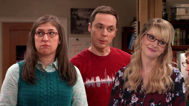 17 Years Later: The Big Bang Theory Cast 2024 Net Worths Ranked