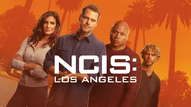 What NCIS: Los Angeles star died? The actress was just 45