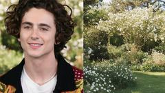 Kids plans revealed as Kylie Jenner discusses her future with Timothée Chalamet