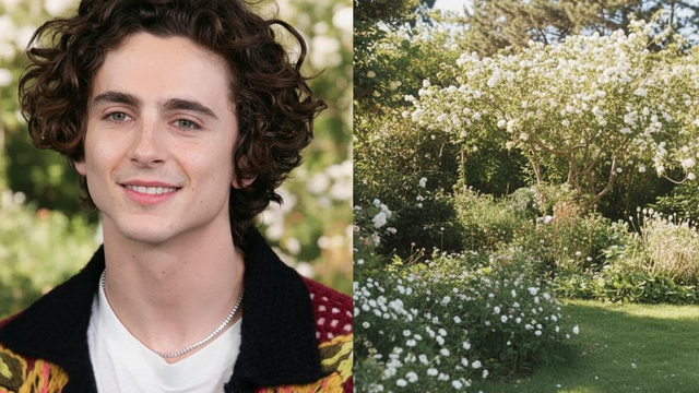 Kids plans revealed as Kylie Jenner discusses her future with Timothée Chalamet